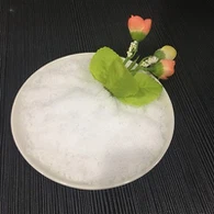 Níotráit Maignéisiam II